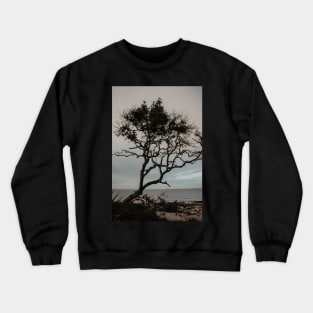 Driftwood Beach Tree Crewneck Sweatshirt